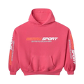 The Raspberry Hills Gold + Vintage Hoodie Pink